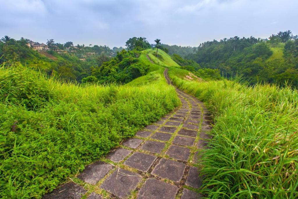 Casa Ganesha Hotel Ubud Εξωτερικό φωτογραφία