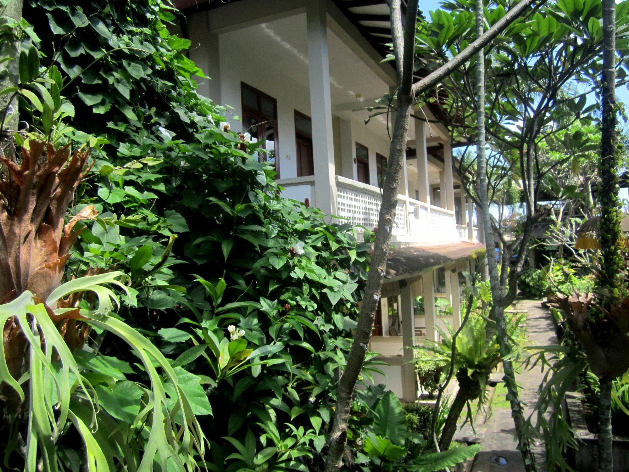 Casa Ganesha Hotel Ubud Εξωτερικό φωτογραφία